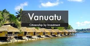 Discovering the Role of a Citizenship by Investment Agent